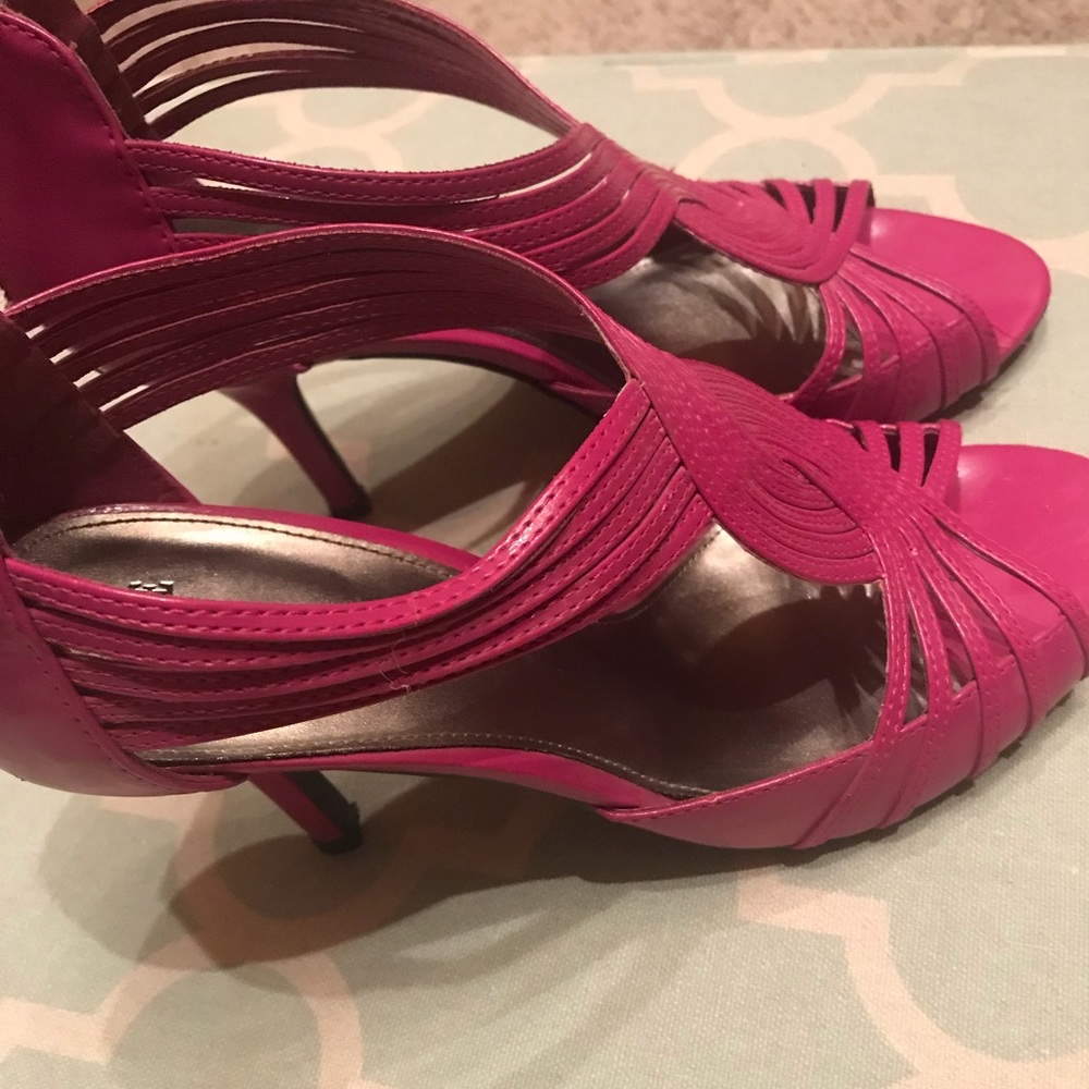 Fuchsia 👠